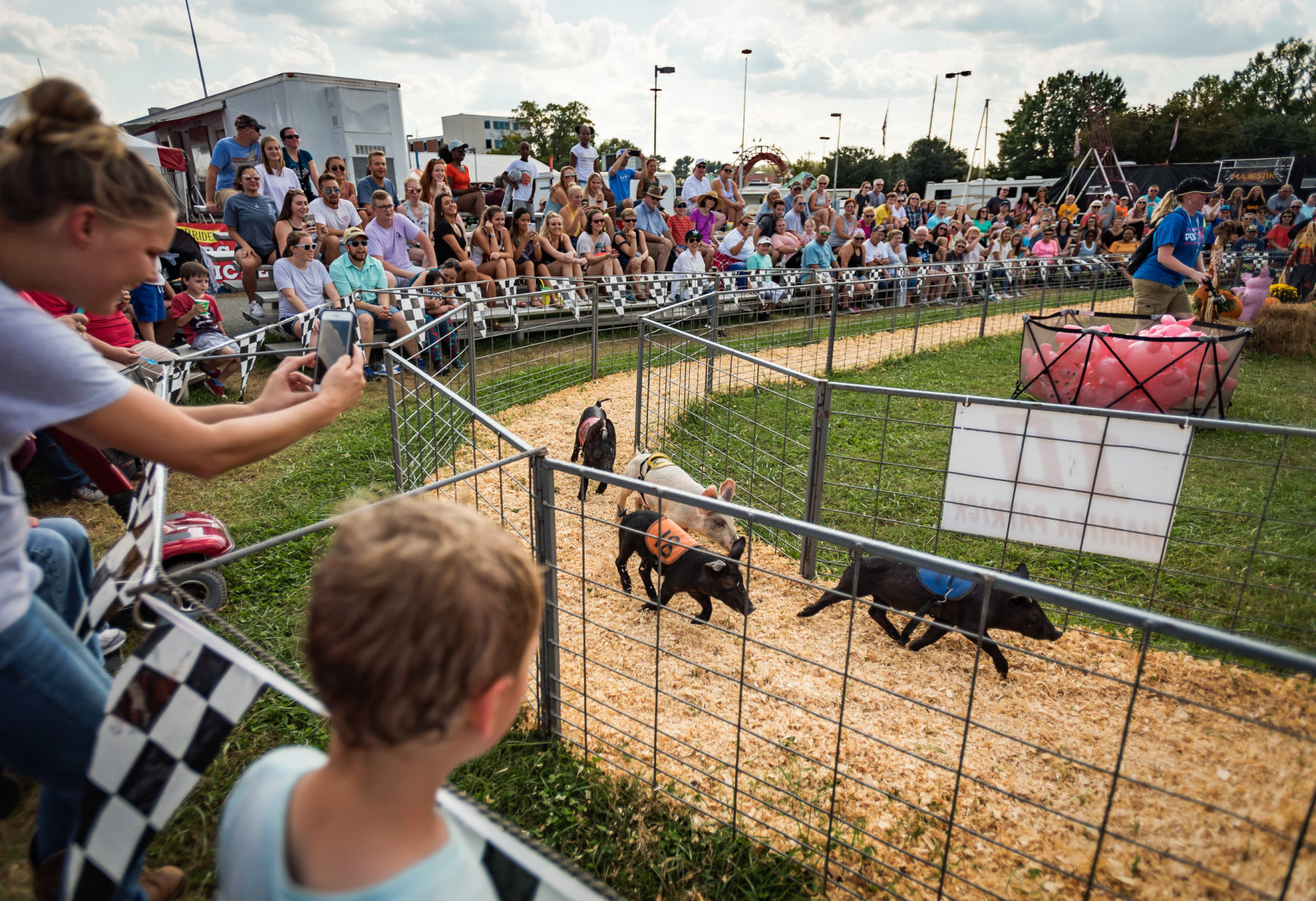 Hogway Speedway Racing Pigs, Ducks and Goats